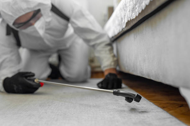 Professional Termite Control technician working in Universal City, TX